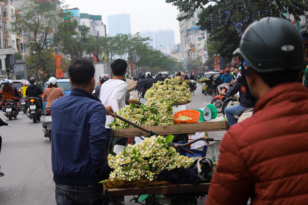 Nao lòng những gánh hoa bưởi mang hồn quê ra Hà Nội